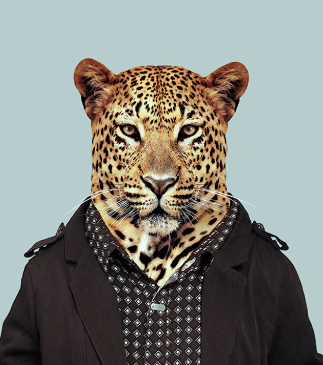 leopard